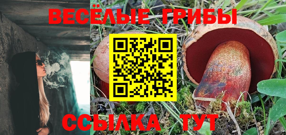 Галлюциногенные грибы Psilocybe  Вход с VPN  Галлюциногенные грибы MAGIC MUSHROOMS  Альметьевск 